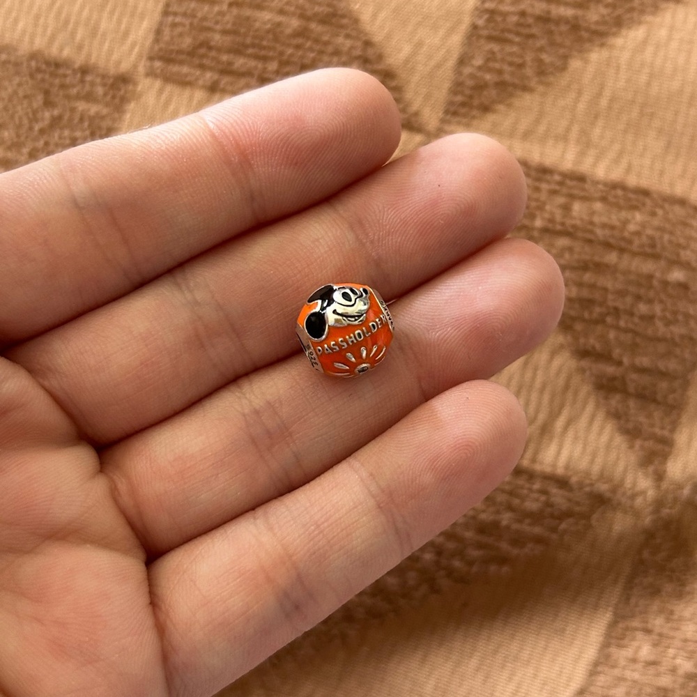 Pandora Passholder Disney Parks Charm